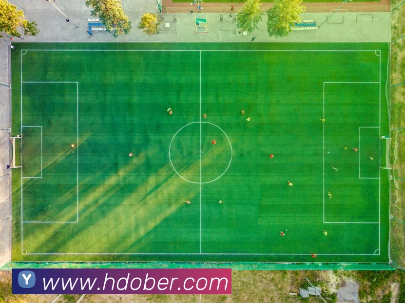 开云在线登录入口官网发展历程